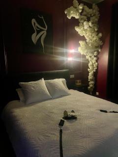 Suite romantique avec Balneo et jeux coquins - Roanne - 1