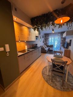 Klaver Home - Oliwkowy Apartament - Częstochowa - 1