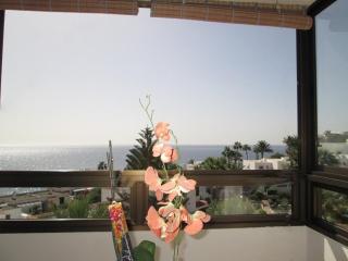 Ocean View Bahia Feliz - Playa del Aguila - 8