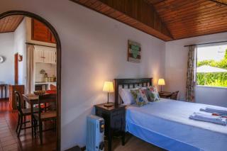 Domus Adepta Charming w Garden - Furnas - 4