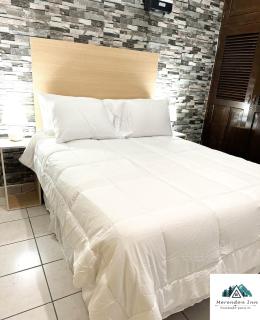 Apartamento de 2 Habitaciones Céntrico San Pedro Sula - San Pedro Sula - 0