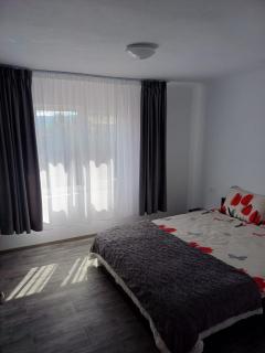 GMV House - Călimăneşti - 5