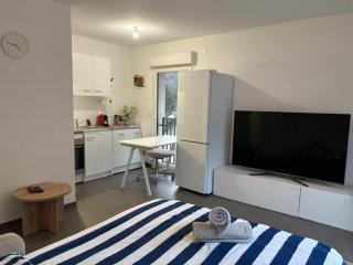 Le Lorina I Studio - Saint-Julien-en-Genevois - 2