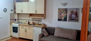 Apartment Gala - Budva - 1