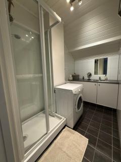 Central apartment - Notodden - 1