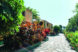 Casas-Bungalows Los Pajeros - Breña Baja - 9