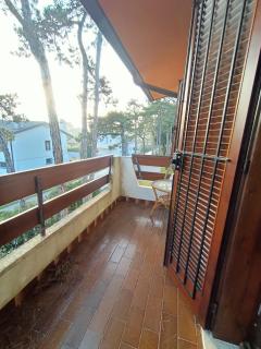 Villa Pinea - 4