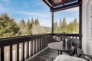 Waldglück - Hinterzarten - 3