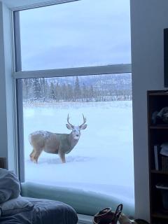 Cabin with Fields of Dreams - Whitehorse - 3