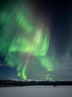 Cabin with Fields of Dreams - Whitehorse - 1