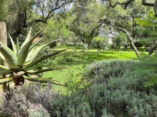 Kameeldoring Guesthouse - Zeerust - Vosburg - 2