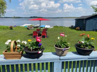 Sunrise net cottage - Kawartha Lakes - 2
