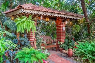 Palm Grove Cottages - Leisure Resort - Benaulim - 6