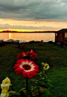 Sunrise net cottage - Kawartha Lakes - 9