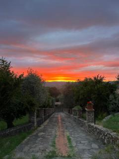 Casa Melarosa - Montemerano - 5