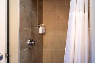 Thankers - Wheatland - 1