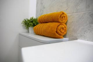 The Coach House Apartment dog friendly - 2