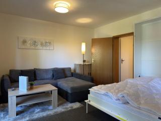 Frisch renovierte Ferienwohnung in Altenau - Altenau - 7