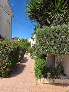 Chaleureux Duplex refait a neuf - Torrevieja - 6