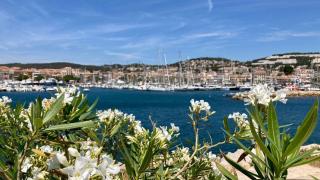 Chambre d'hôte Centre Ville Bandol - Bandol - 3