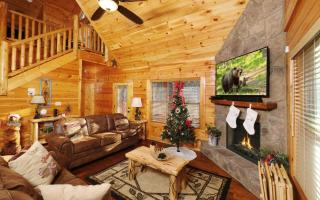Charlie Browns Cabin - Pigeon Forge - 3