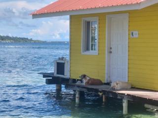 Faro del Colibri - Bocas del Toro - 3
