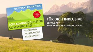 Haus Landzauber - Ramsau am Dachstein - 8