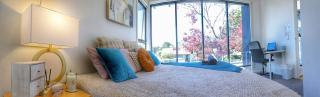 89B - Your Dream Stay Business or Travel Mornings with coffee in Bentleigh - Heatherton - 8