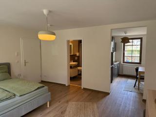 1- Zimmerappartment - Geisenheim - 2