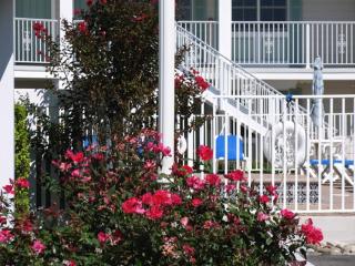 Broadway Beach Retreat Unit 4 - 5