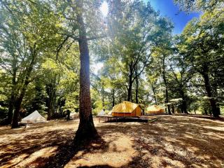 OAK Glamping Relax - Manziana - 9