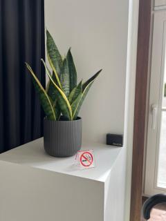 Roslep Apartment - 1