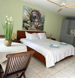 Newly renovated studio - Simpson Bay - 1