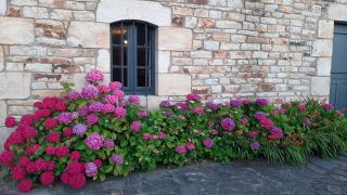 Echappée vannetaise - Vannes - 1