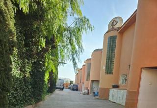 Oasis d'Aourir - Aourir - 8