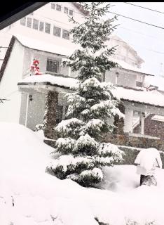 Casa Serban - Lupeni - 0