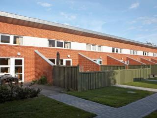 6 person holiday home on a holiday park in Hemmet - 8