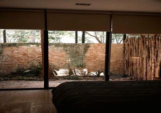 Luxory Village - Tulum - 4