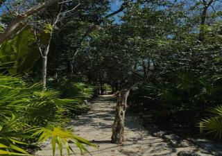Luxory Village - Tulum - 7