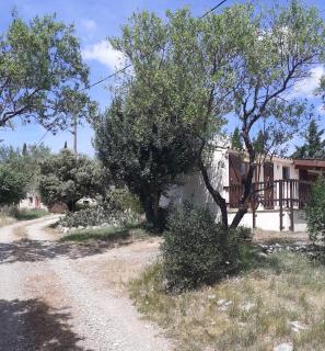 Tiny House Belleraze - Saint-Jean-de-Minervois - 9