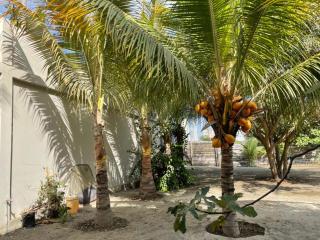 Hostal Terramar Salinas - Huamboya - 0