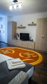 Violeta Apartament - Sighişoara - 0