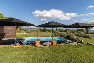 Terre Luberon - Pertuis - 0