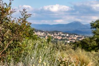 Terre Luberon - Pertuis - 4