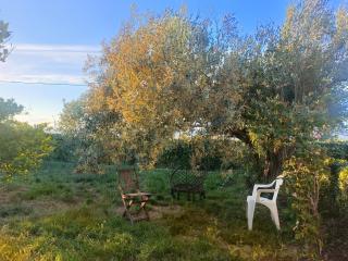 Buenas vistas y privacidad, tranquila y fresca villa en el bosque de Valencia con una magnífica piscina de 80m2 - 8