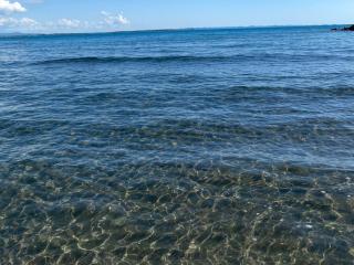 BlueWaveapartments 1 - 2