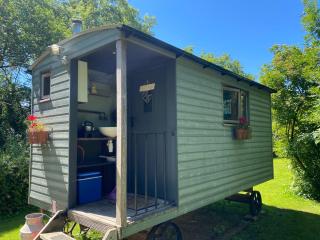 Shepherds Hut at Rhyd y Galen - 9