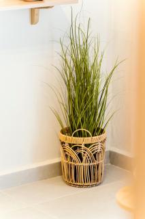 Styliani's Cozy Apartment - 5