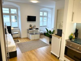 bella casa - Business&Family, 100m zum Konzerteingang Schloß, Parkplatz, SmartTV, Netflix, Waschmaschine,24h Checkin, 30qm, AP 5 - Ludwigsburg - 9