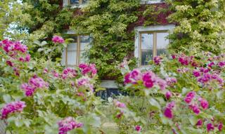 Johannesbergs släktgård - 6